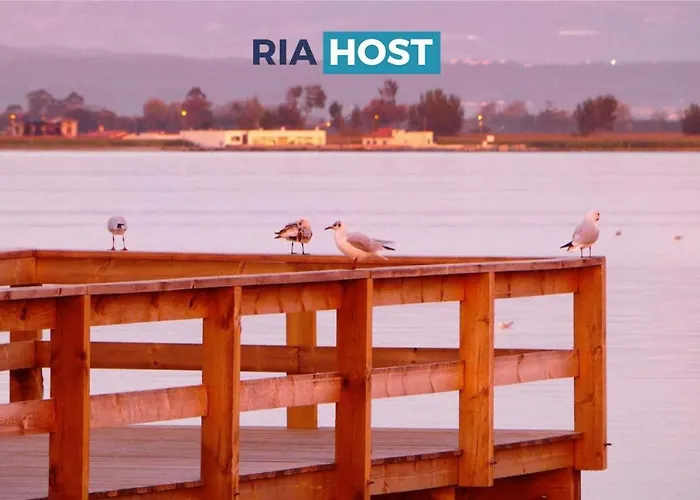 Apartment Casa Azul Torreira